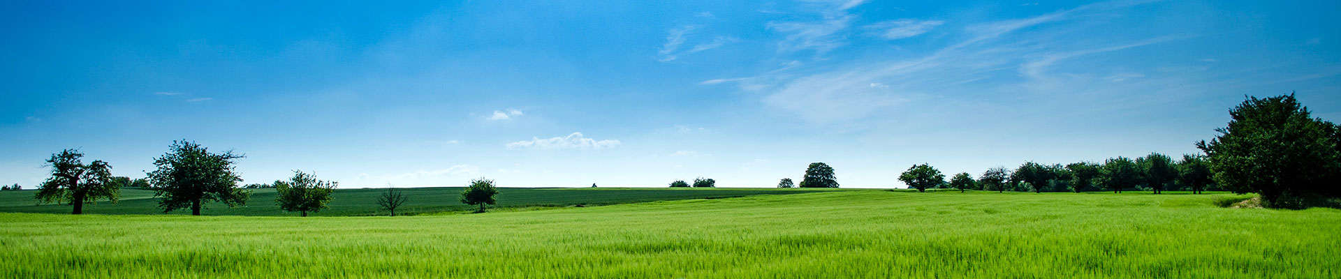 創(chuàng)優(yōu)質(zhì)品牌，鑄一流形象